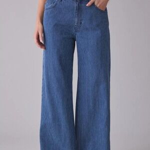 BDG Ozzy Pinstripe loose jeans. Size 27. Missing brand tag. BDG Ozzy pinstripe